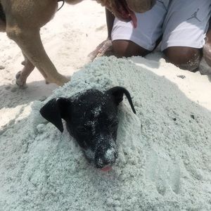 Meet your Posher, Jayda